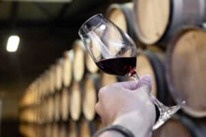 Industrias derivadas de la uva y del vino