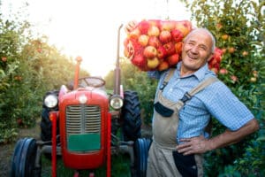 hombre recogiendo manzanas con tractor